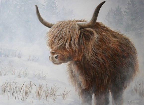Highland Cow on a Snowy Background