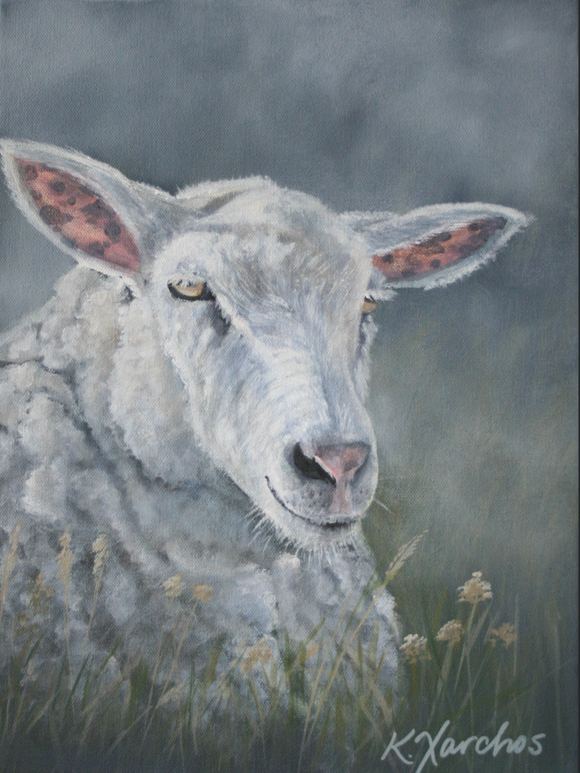 The Gentle Ewe