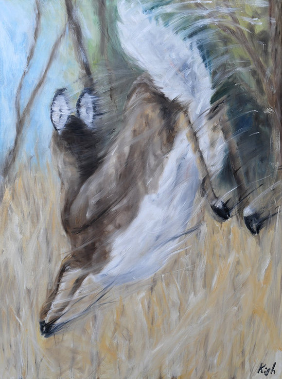 Whitetail in Retreat II