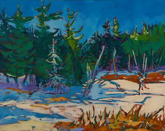 Beaver Pond