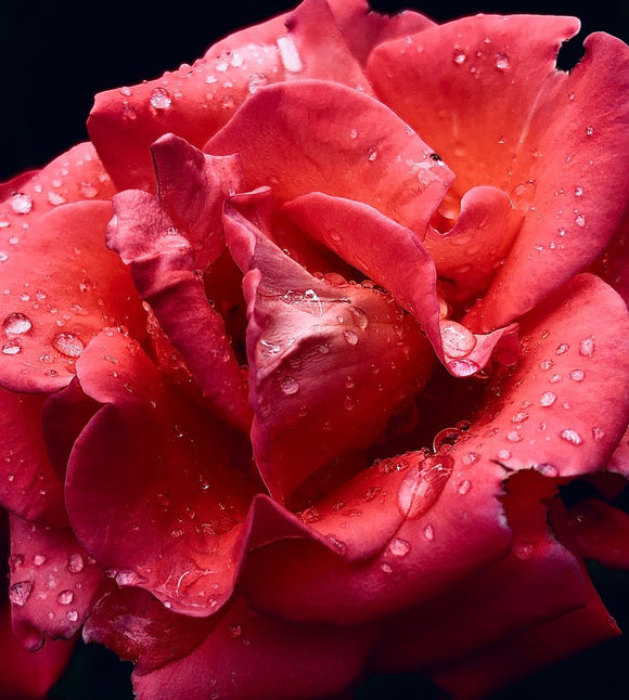 After the Rain