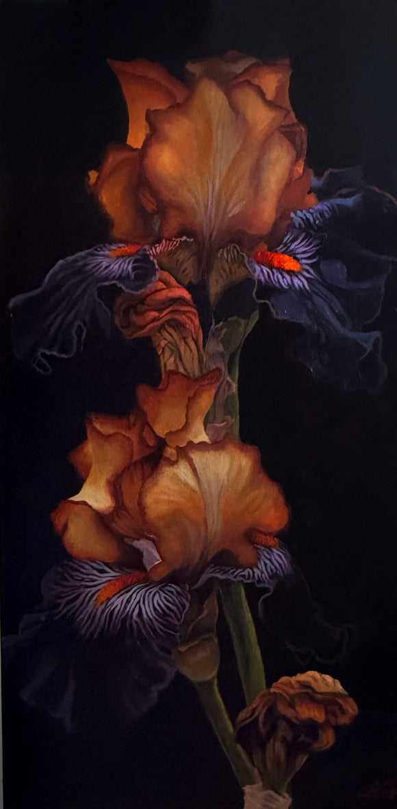 Aura