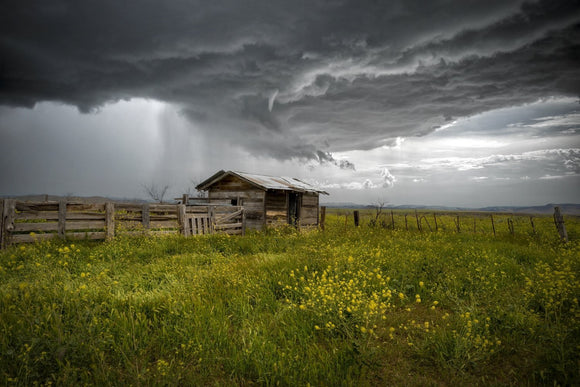 Prairie Storm