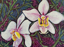 Orchid with Patterns-1