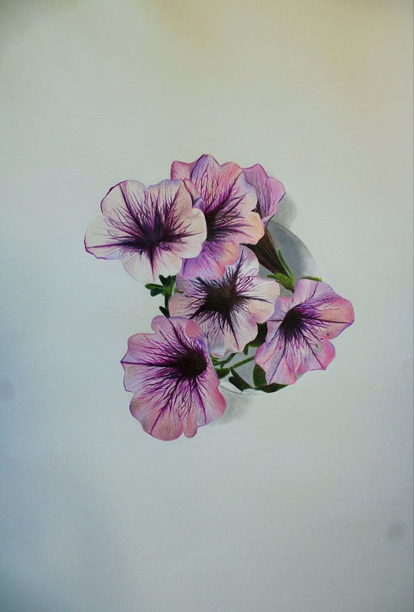 Pink blossom