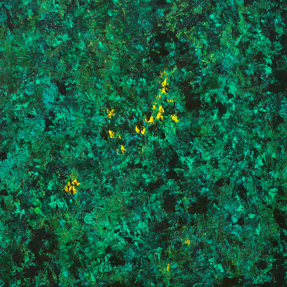 Fireflies