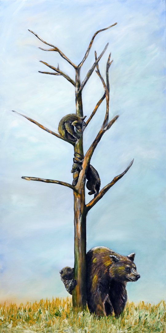 Let Them Climb