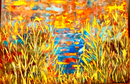 Where the reeds remember-1
