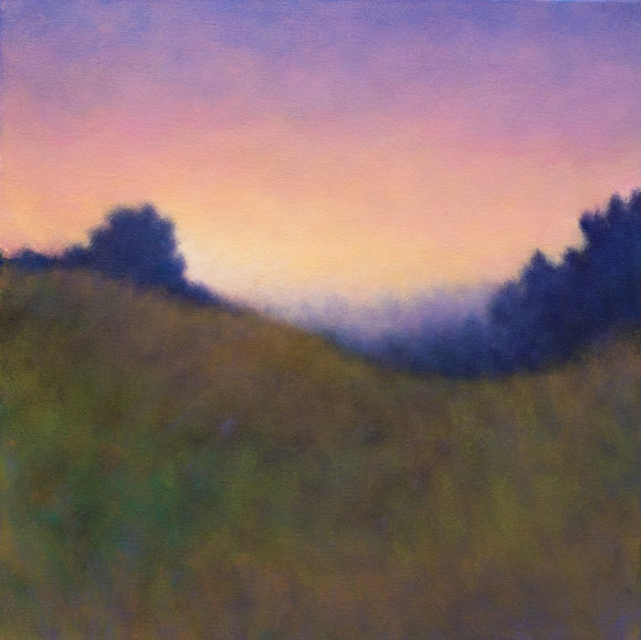 Late Afternoon Light