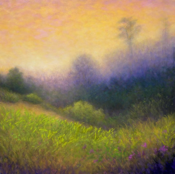Midsummer Morning
