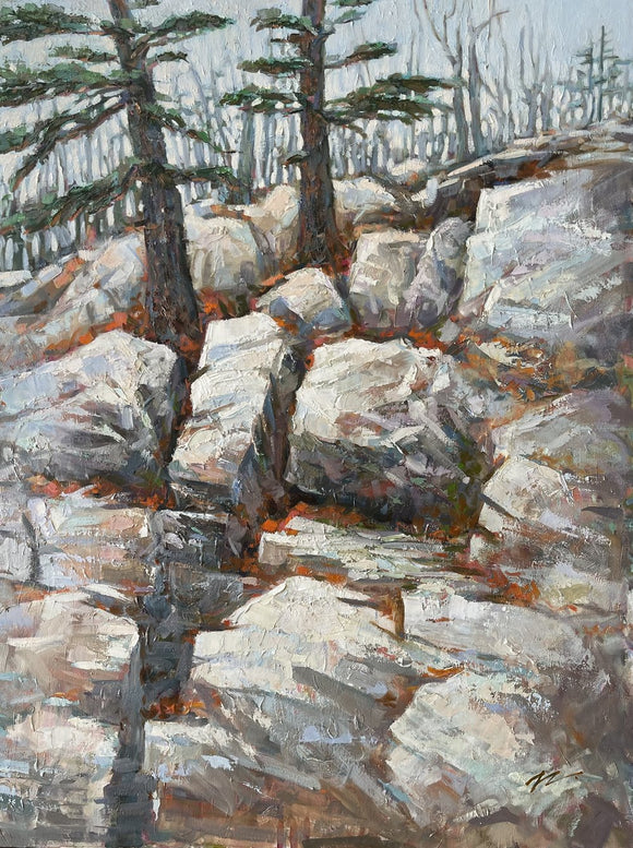 Muskoka Rocks