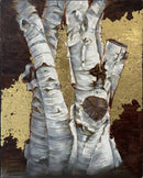Birch and Gold-1-1