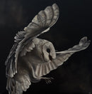 Snowy owl-1