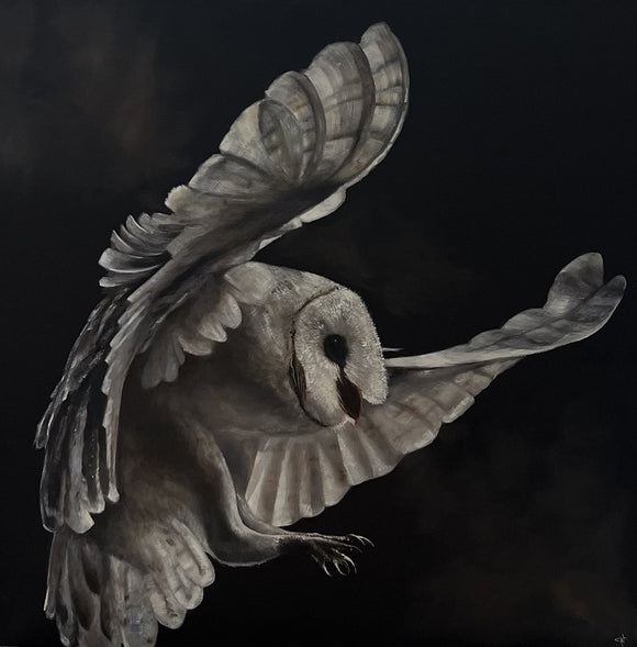 Snowy owl