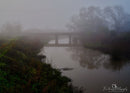 Train Trestle in Fog, Cordelia Fairfield-1