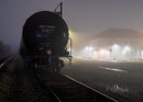 Cordelia in fog-1