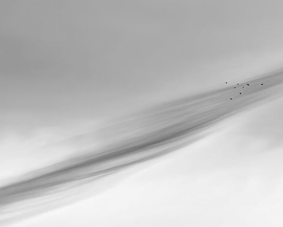 Brush Stroke