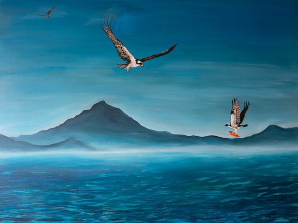 Osprey Skies