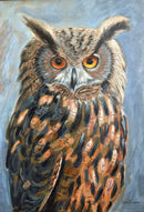 Great Horned Owl-1