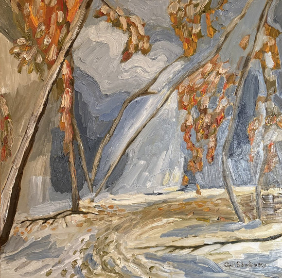 Summit Trees in Winter