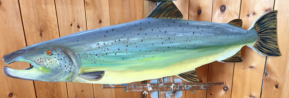 Atlantic Salmon