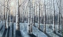 Terwillegar in the winter-1