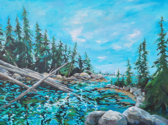 Driftwood Passage