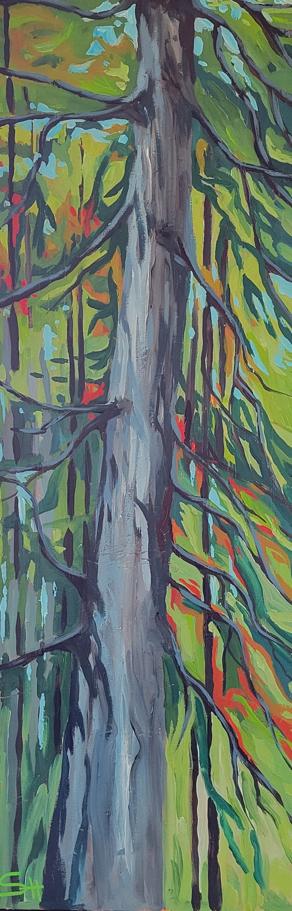 Trunk and tangle