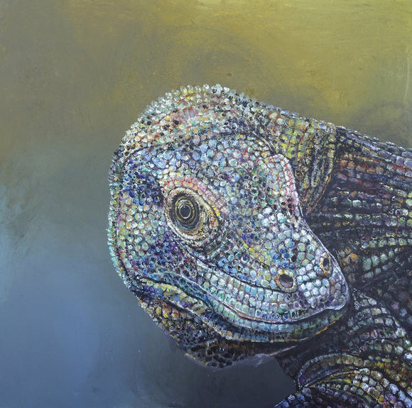 Komodo Dragon