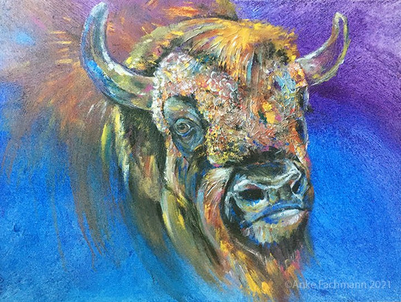 Bison
