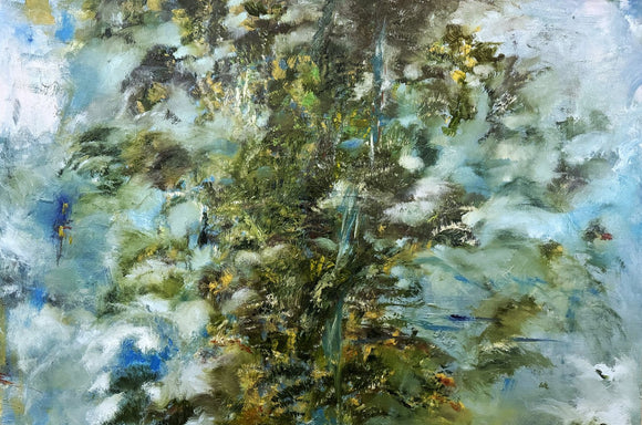 Amazon Canopy