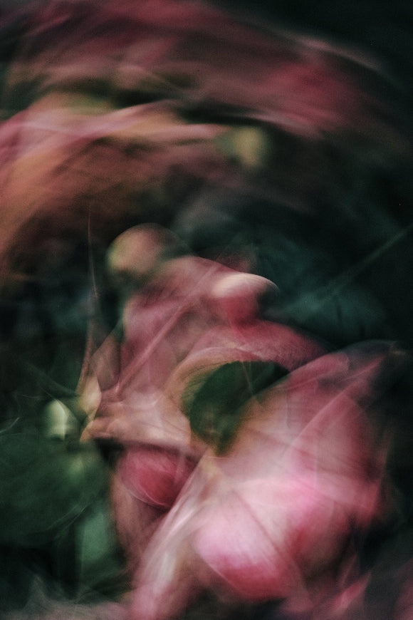 Wellspring