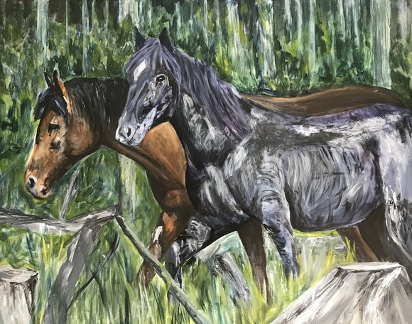 Wild Horses of Alberta
