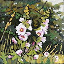 Hollyhocks-1