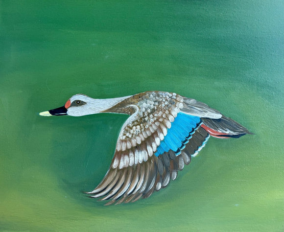 Wildlife