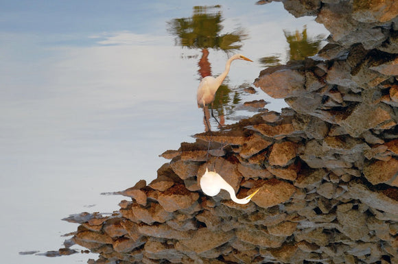 Reflecting the Self