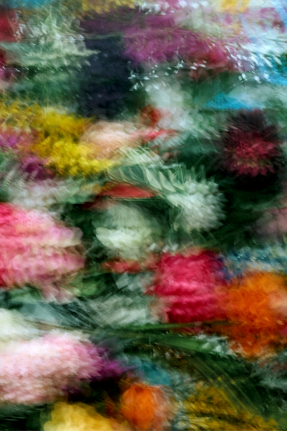 Lucidity