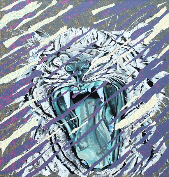 Disappearing Tigre