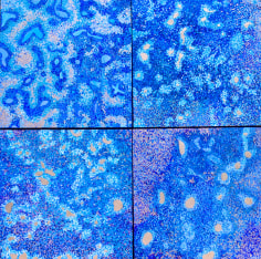 Four Seasons of Dark Matter