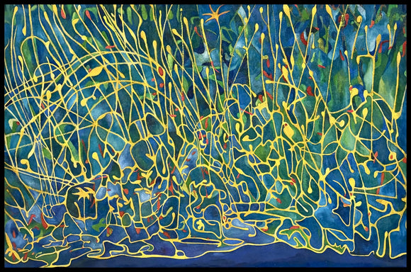 Nocturnal Trails