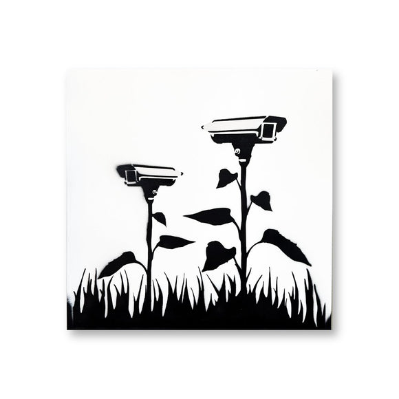 Eyes in The Garden