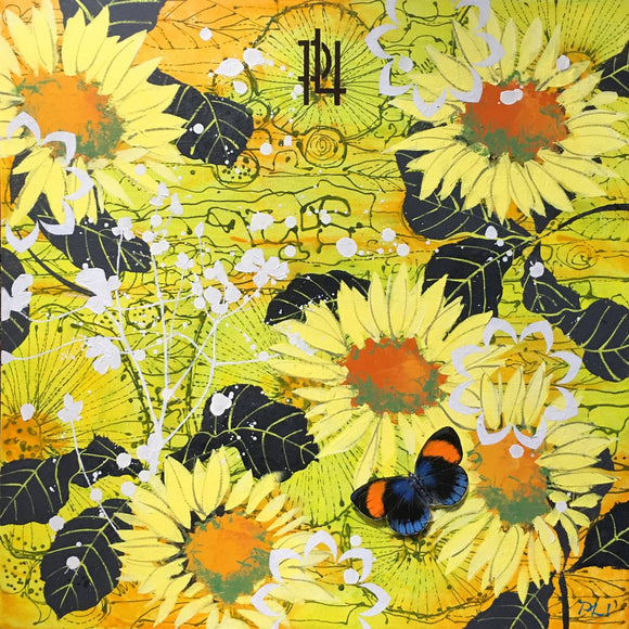 PLI 2023 Yellow Sunflower