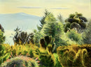 The View II-1