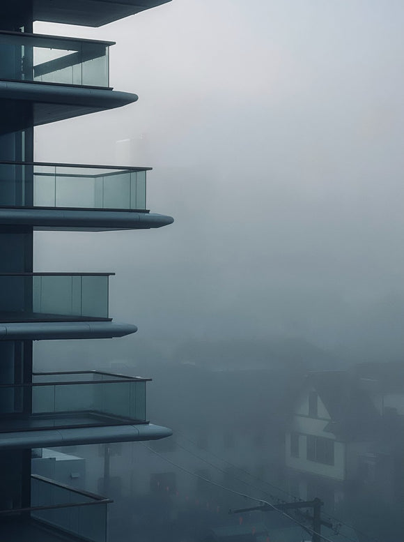 Into the Fog