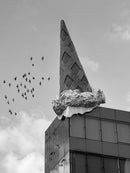 Between Form and Flight-1