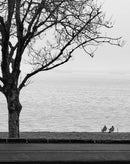 Between Moments-1