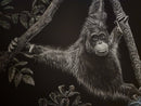 The Orangutans of Borneo-1