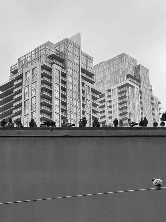 Urban Solitude