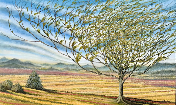 Meadow Winds