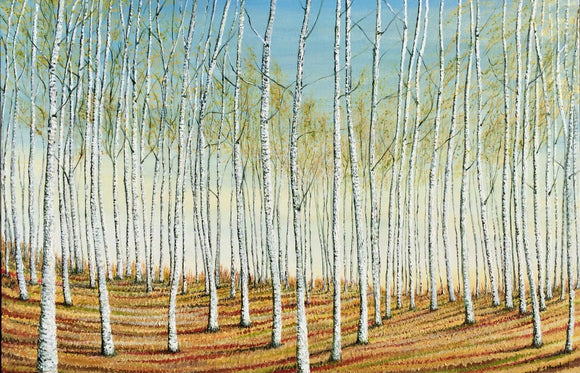 Silver Birch